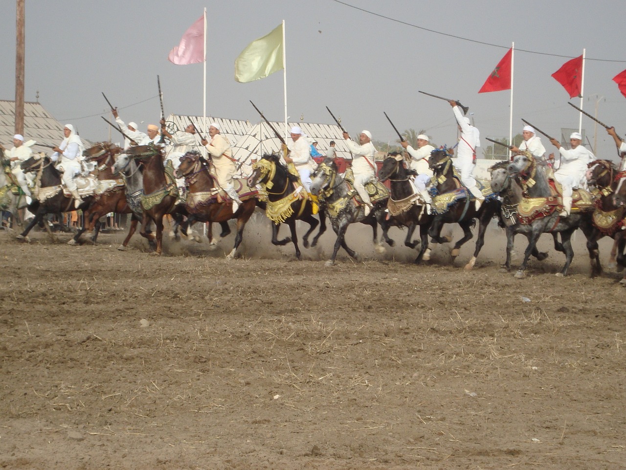 horses race gun free photo