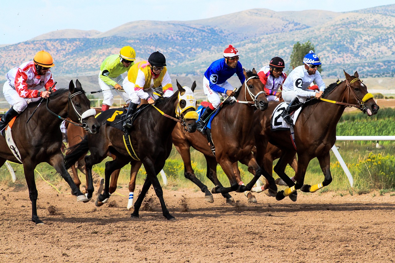 horses  racing  wyoming free photo