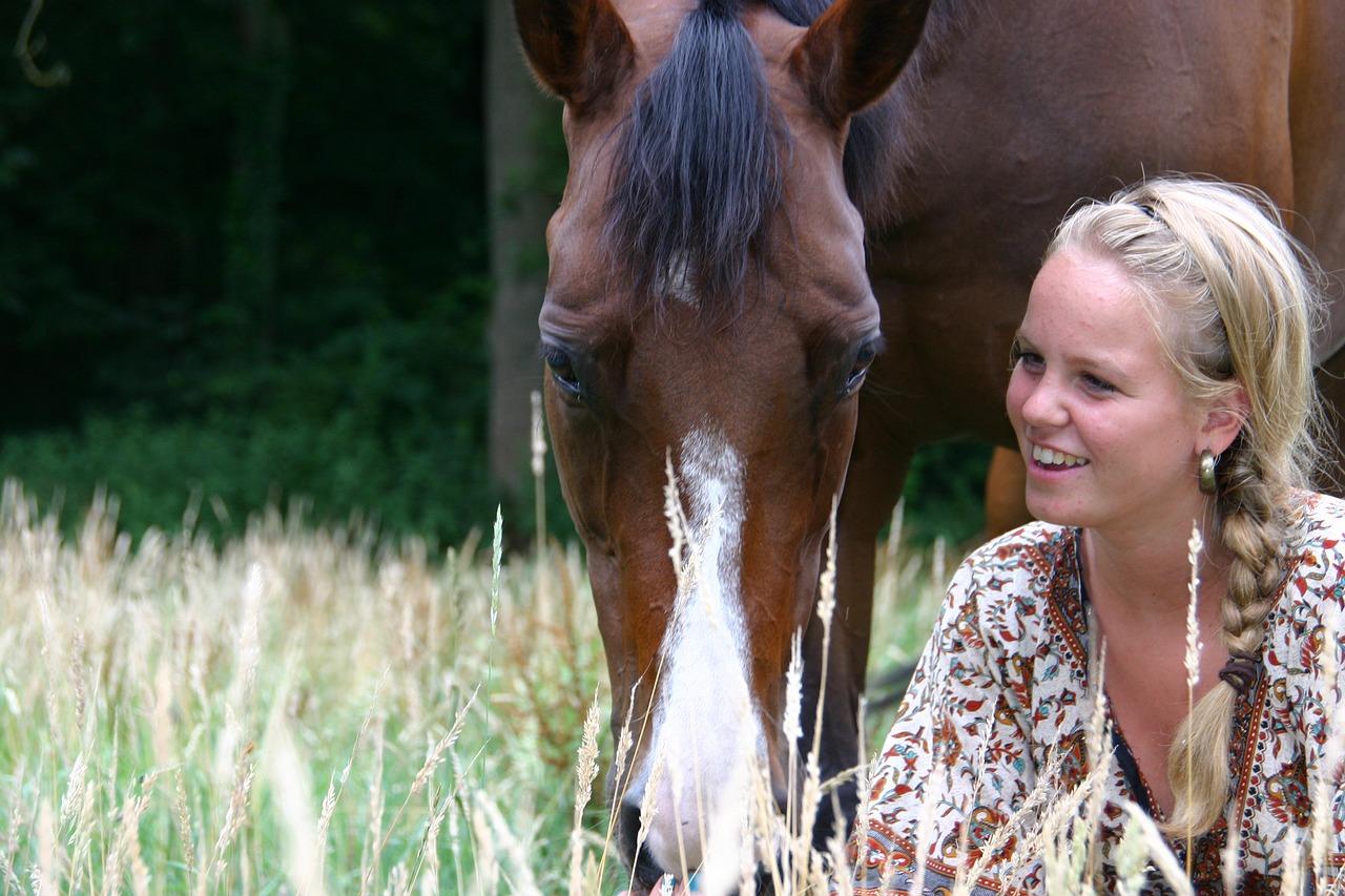 horses  girl  paardenmeisje free photo