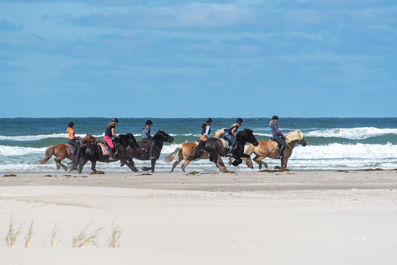 horses  beach  sand free photo