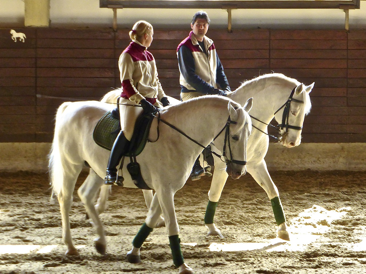 horses pair equestrian free photo