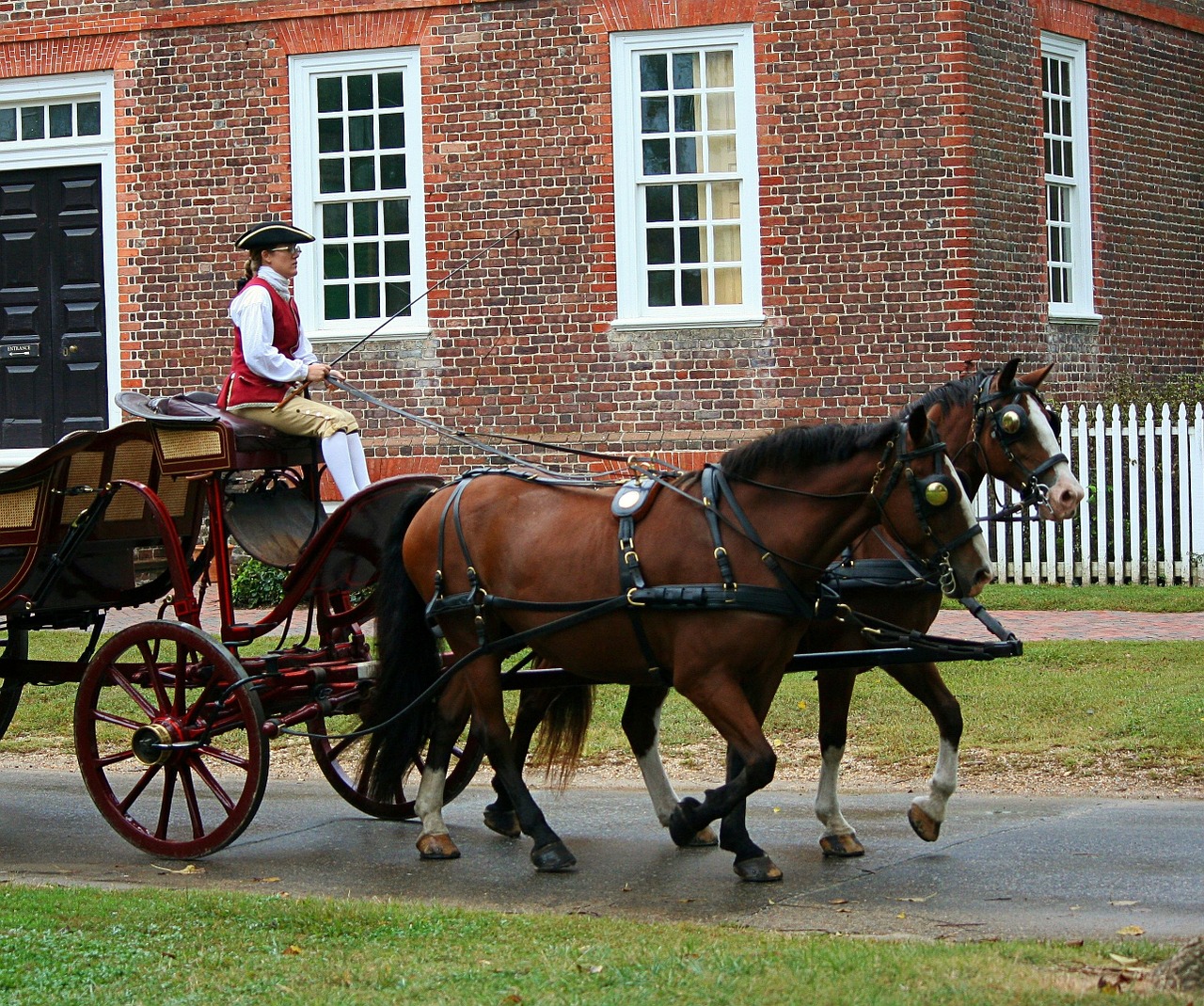 horses carriage horse drawn free photo