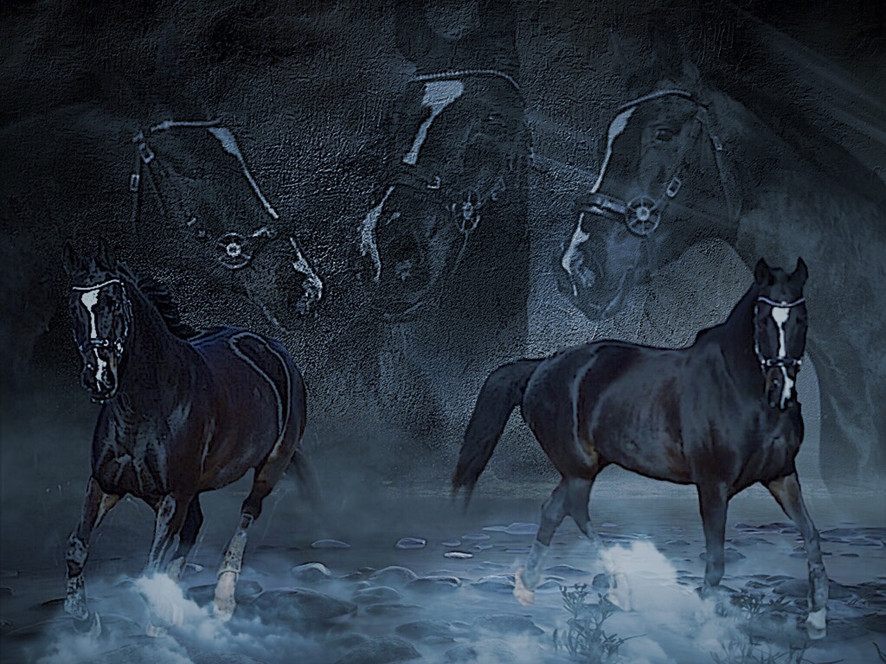 horses collage fog free photo