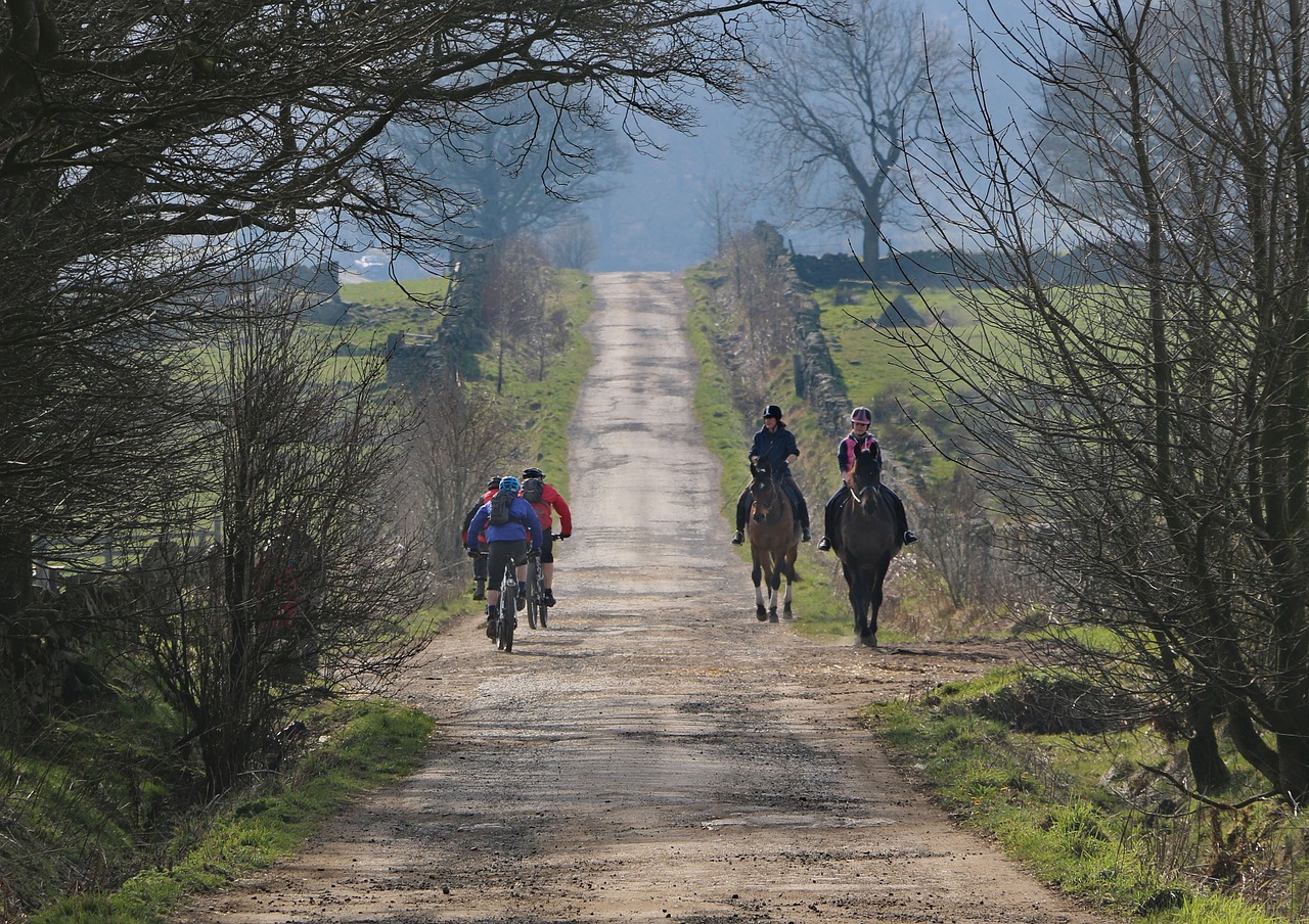 horses bikes countryside free photo
