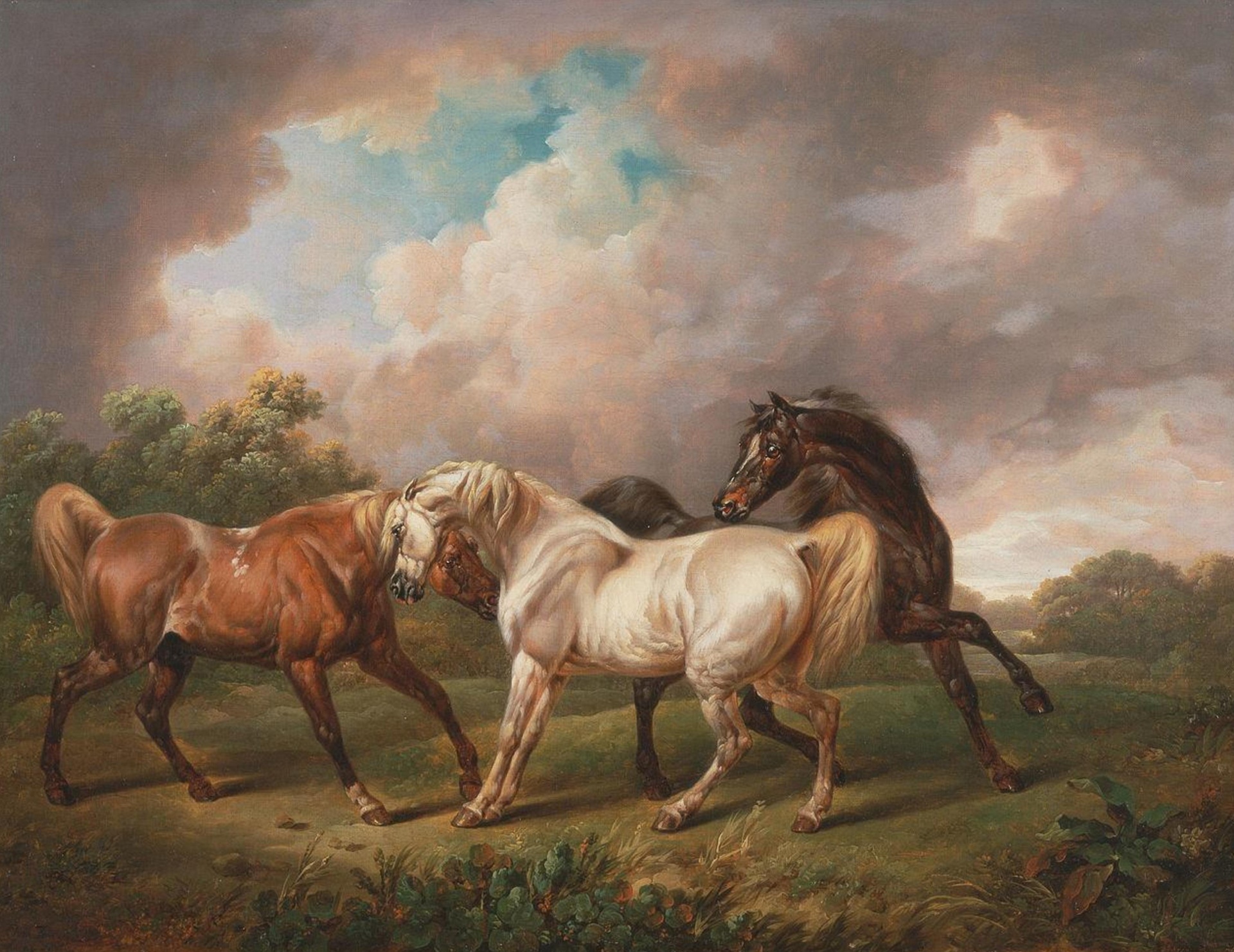 horse horses painting free photo