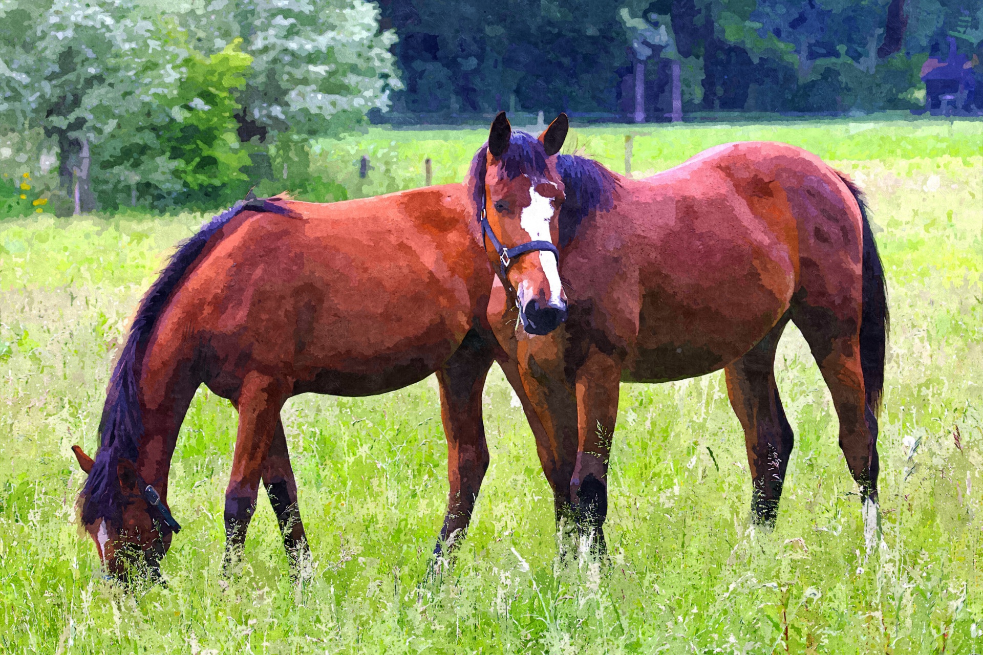 horse horses painting free photo
