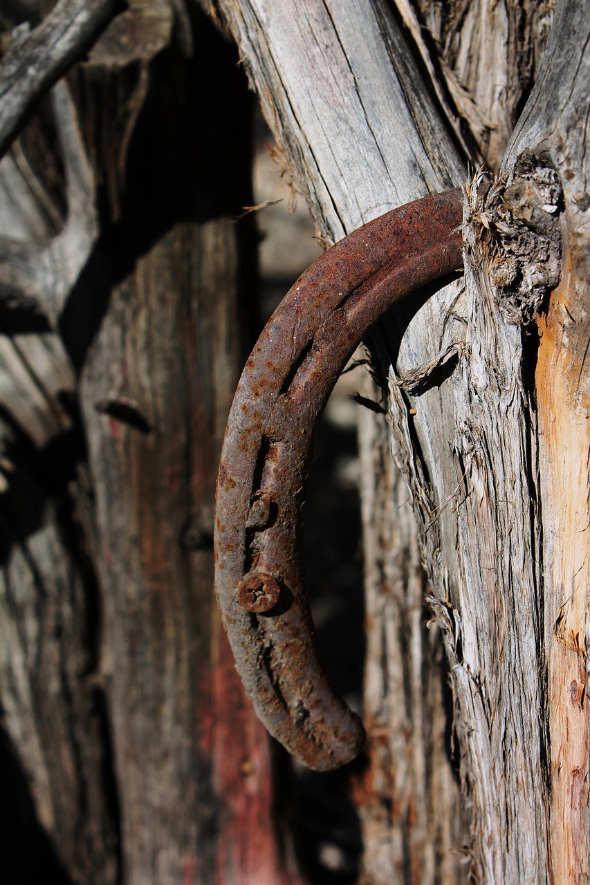 horseshoe rusted iron free photo