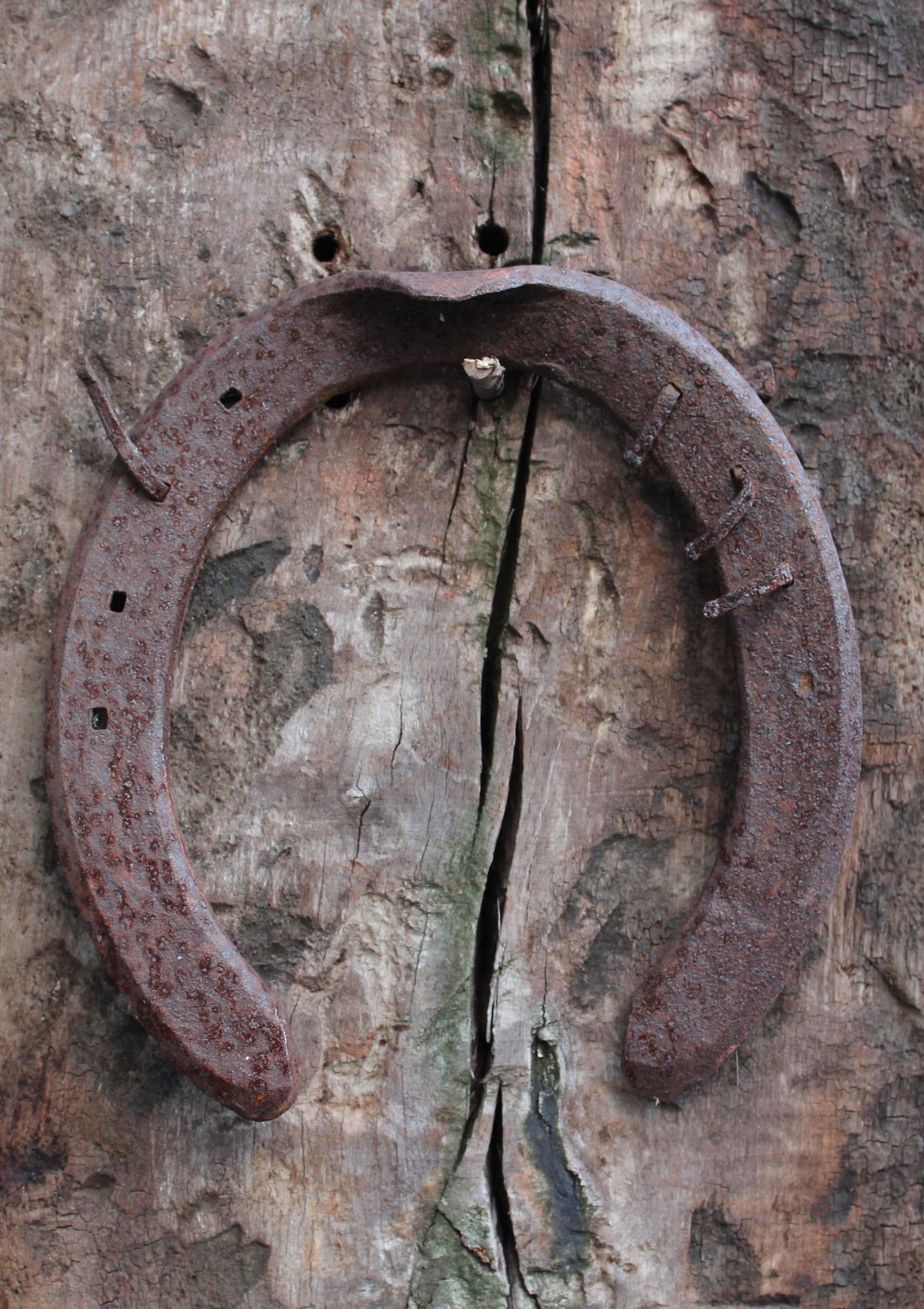 horseshoe wood wooden free photo