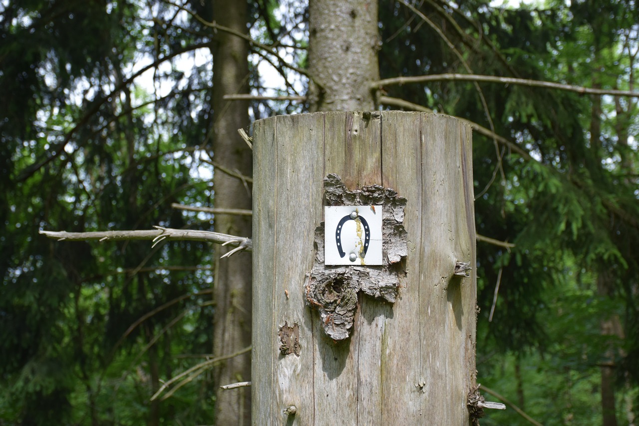 horseshoe shield log free photo