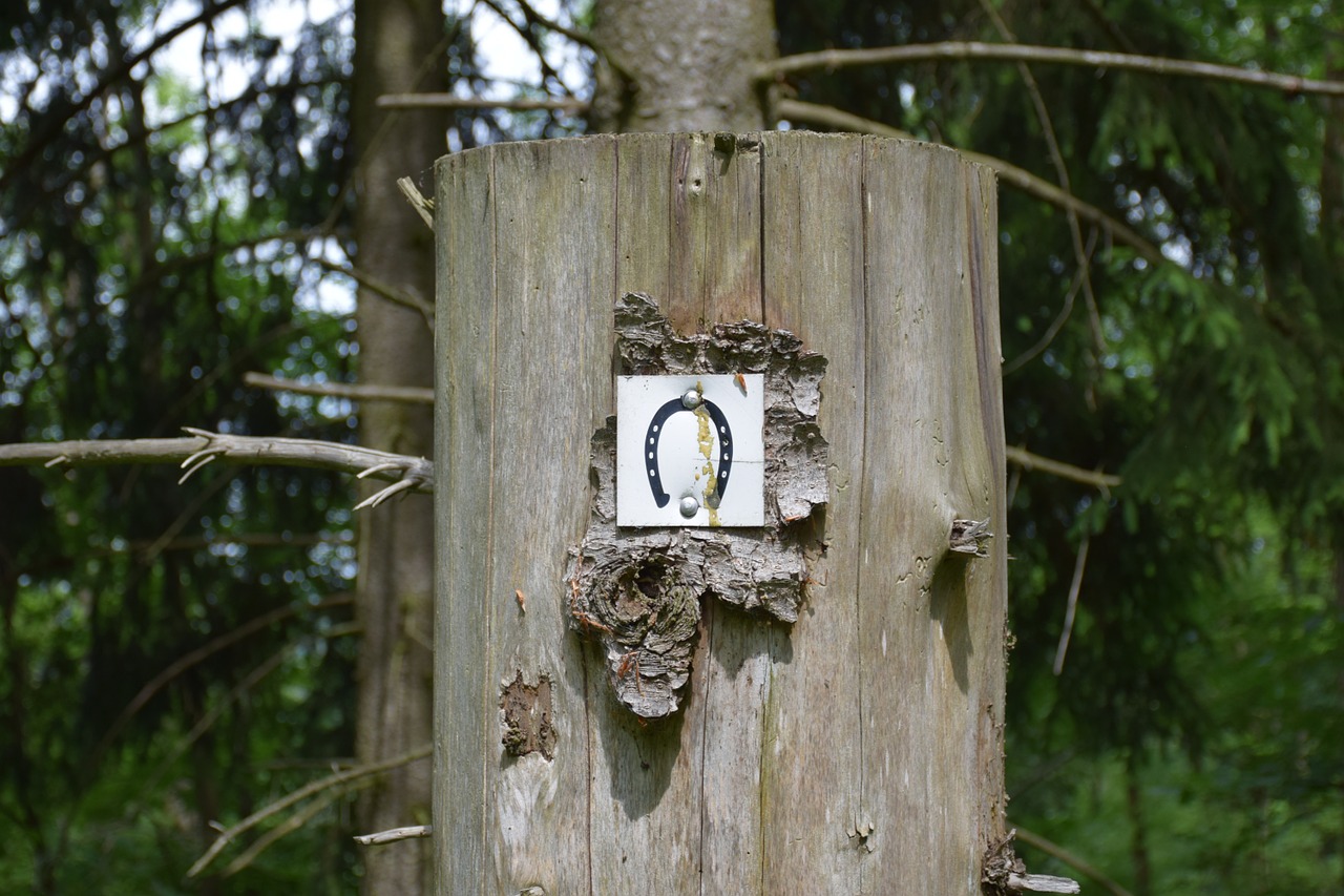 horseshoe shield log free photo