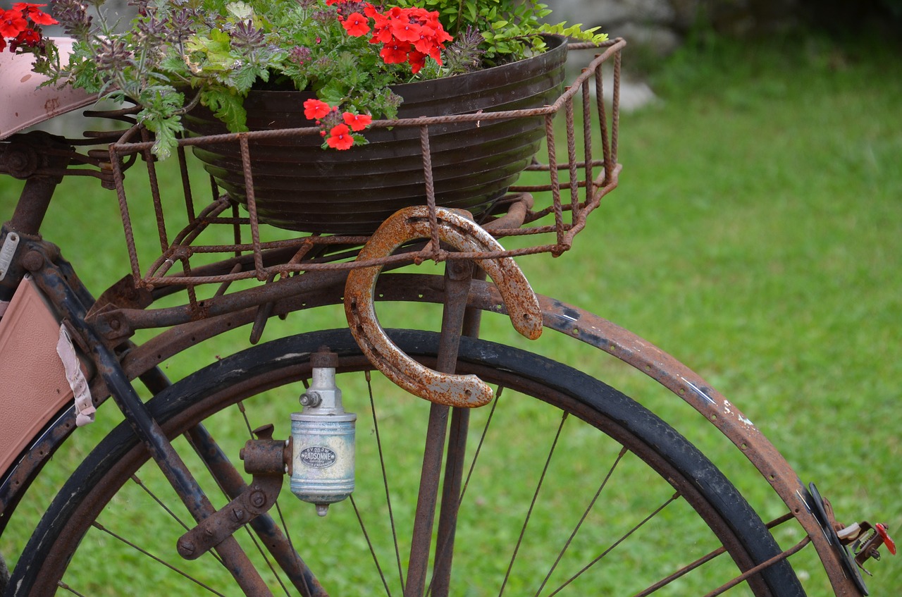 horseshoe old bicycle stainless free photo