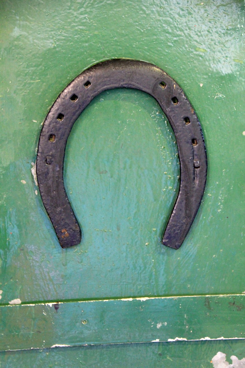 horseshoe green luck free photo