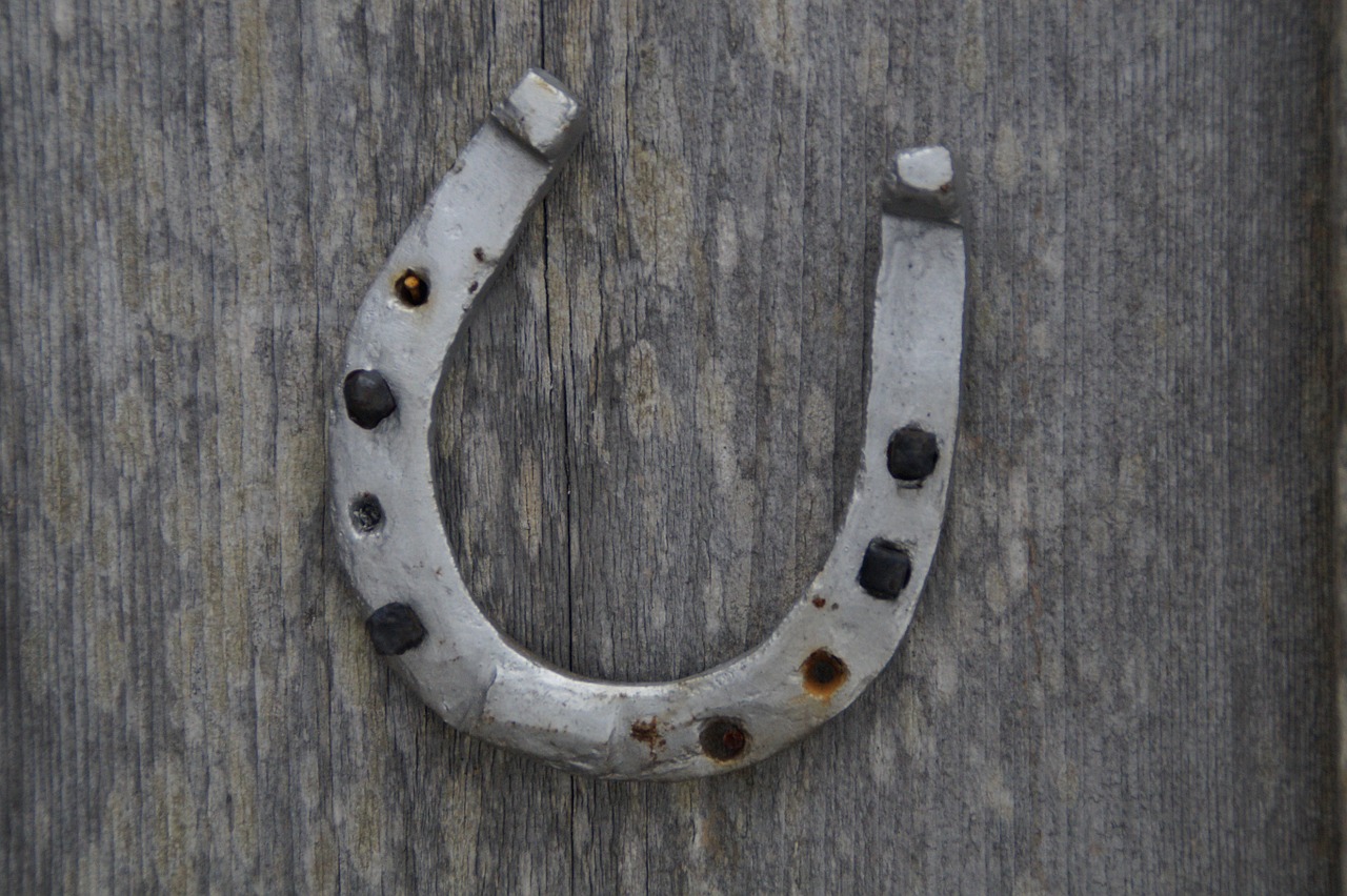 horseshoe luck lucky charm free photo