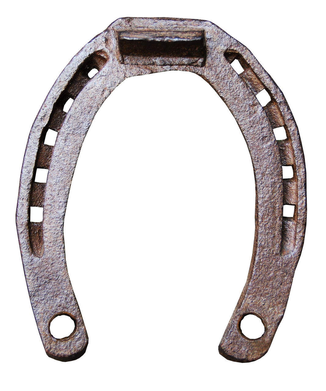 horseshoe iron old free photo