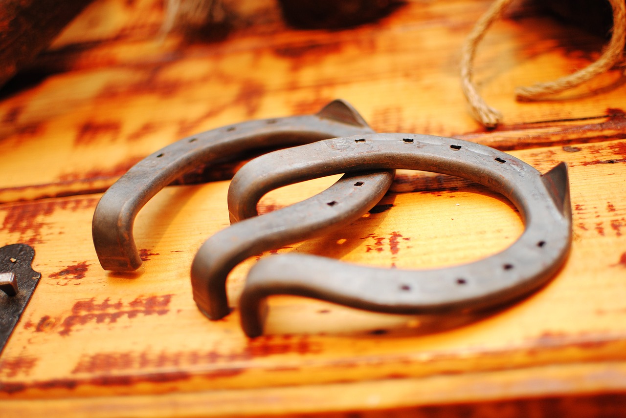 horseshoe iron luck free photo