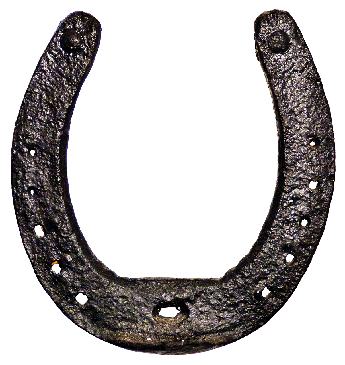 horseshoe forged luck free photo