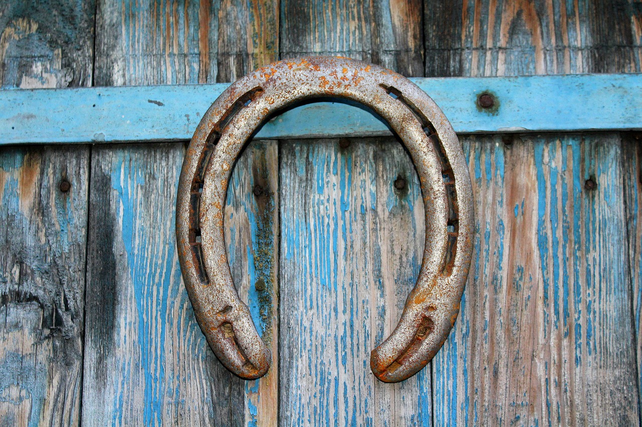 horseshoe symbol talisman free photo