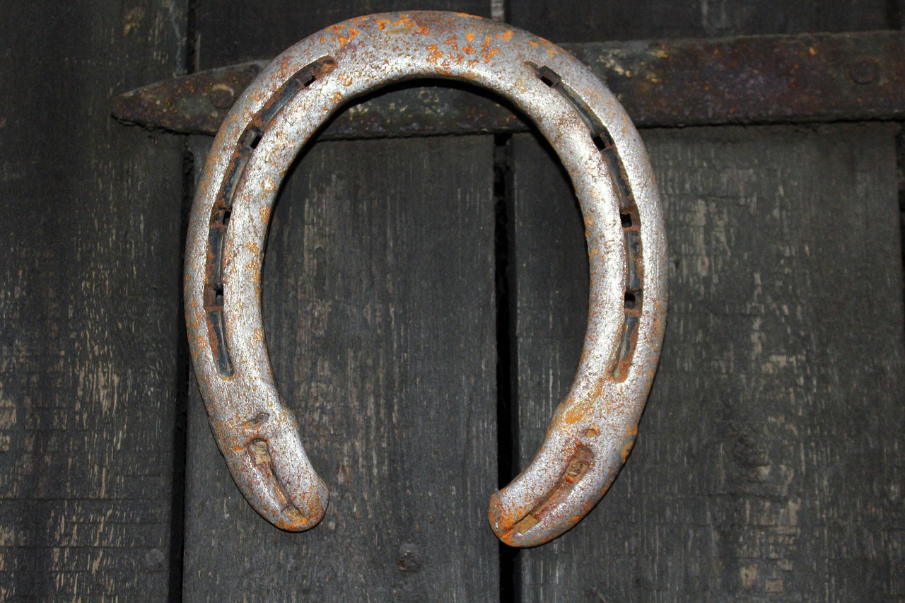 horseshoe talisman symbol free photo