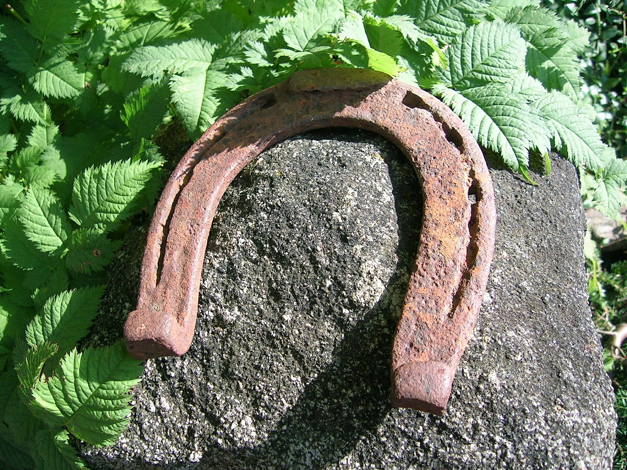 horseshoe luck garden free photo