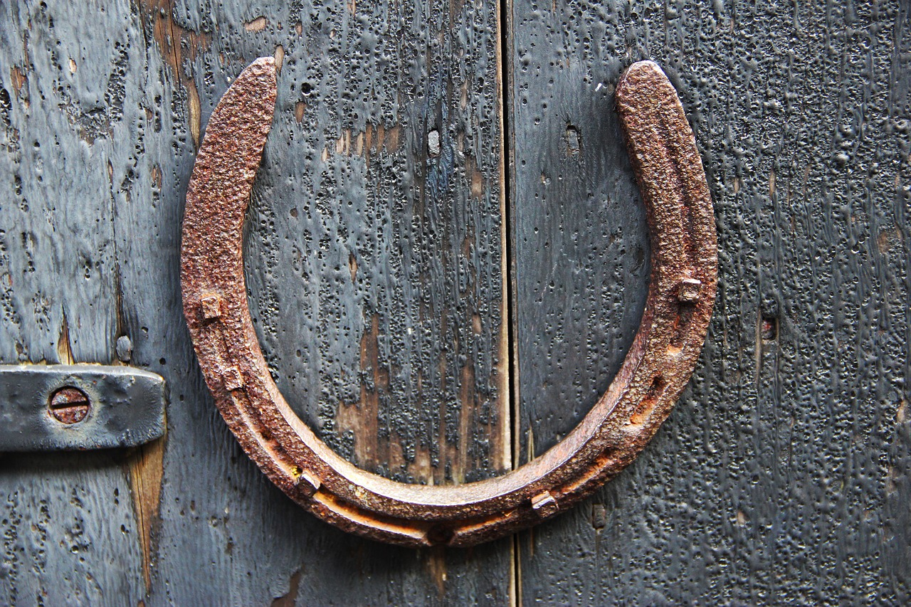 horseshoe  metal  luck free photo