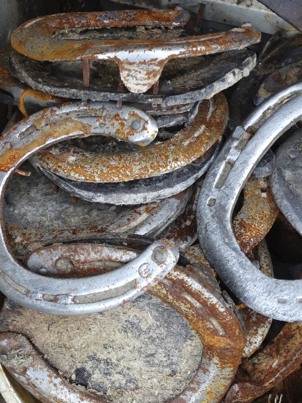 horseshoe stainless rusty free photo