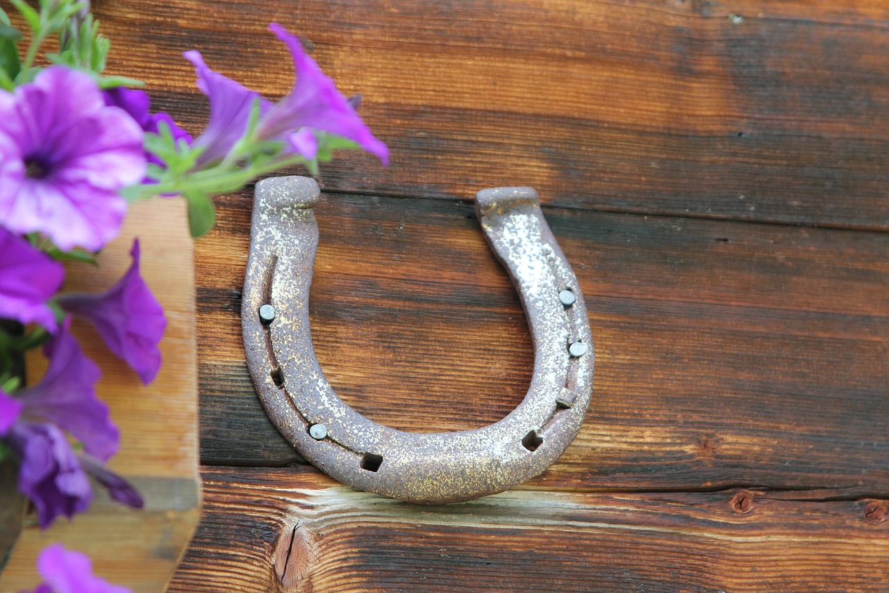 horseshoe alpine hut lucky charm free photo