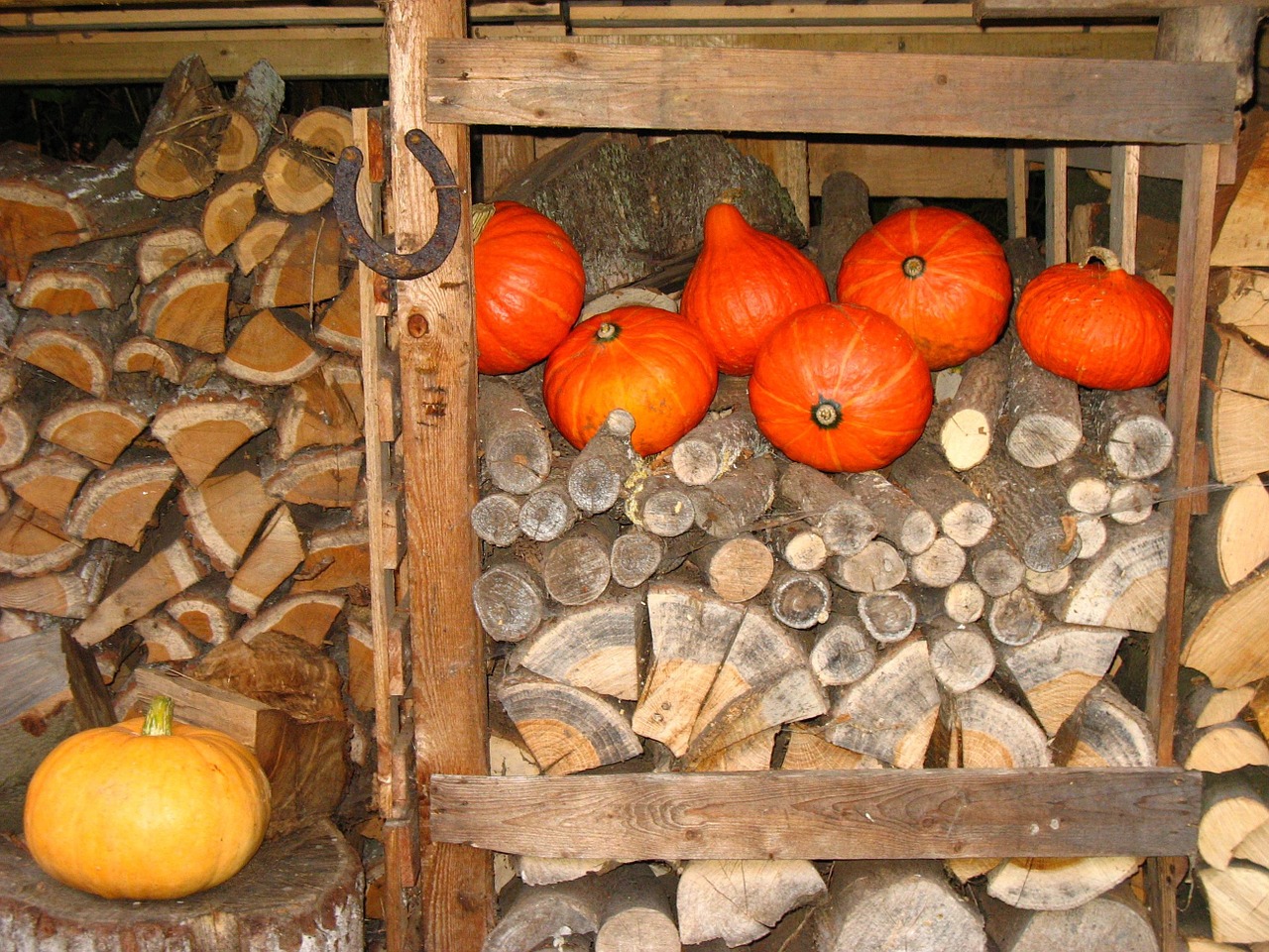 horseshoe wood pile pumpkin free photo