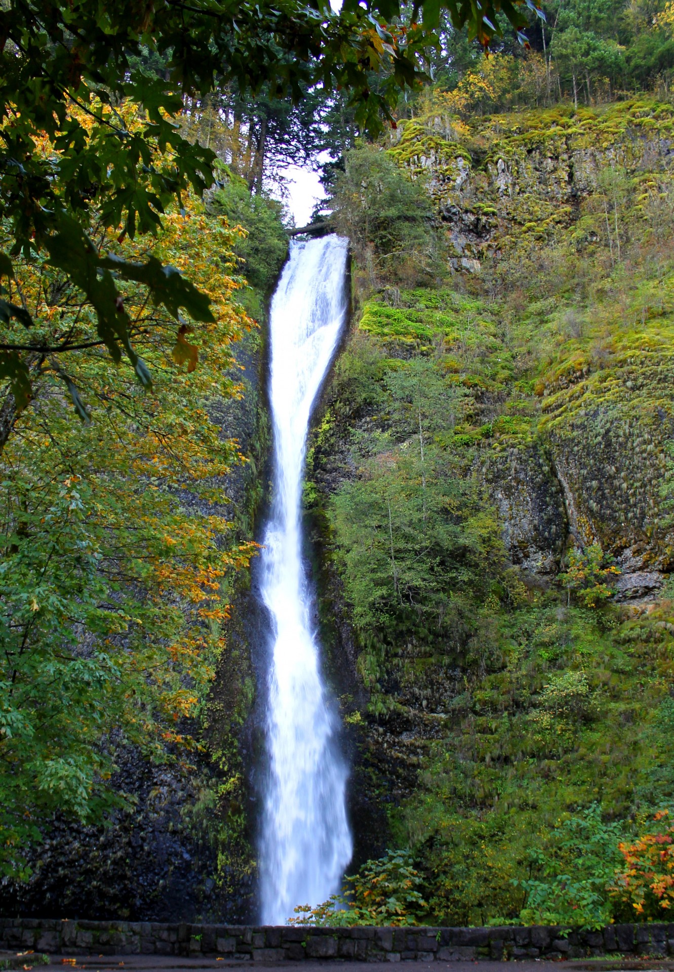 waterfalls horsetail falls oregon free photo