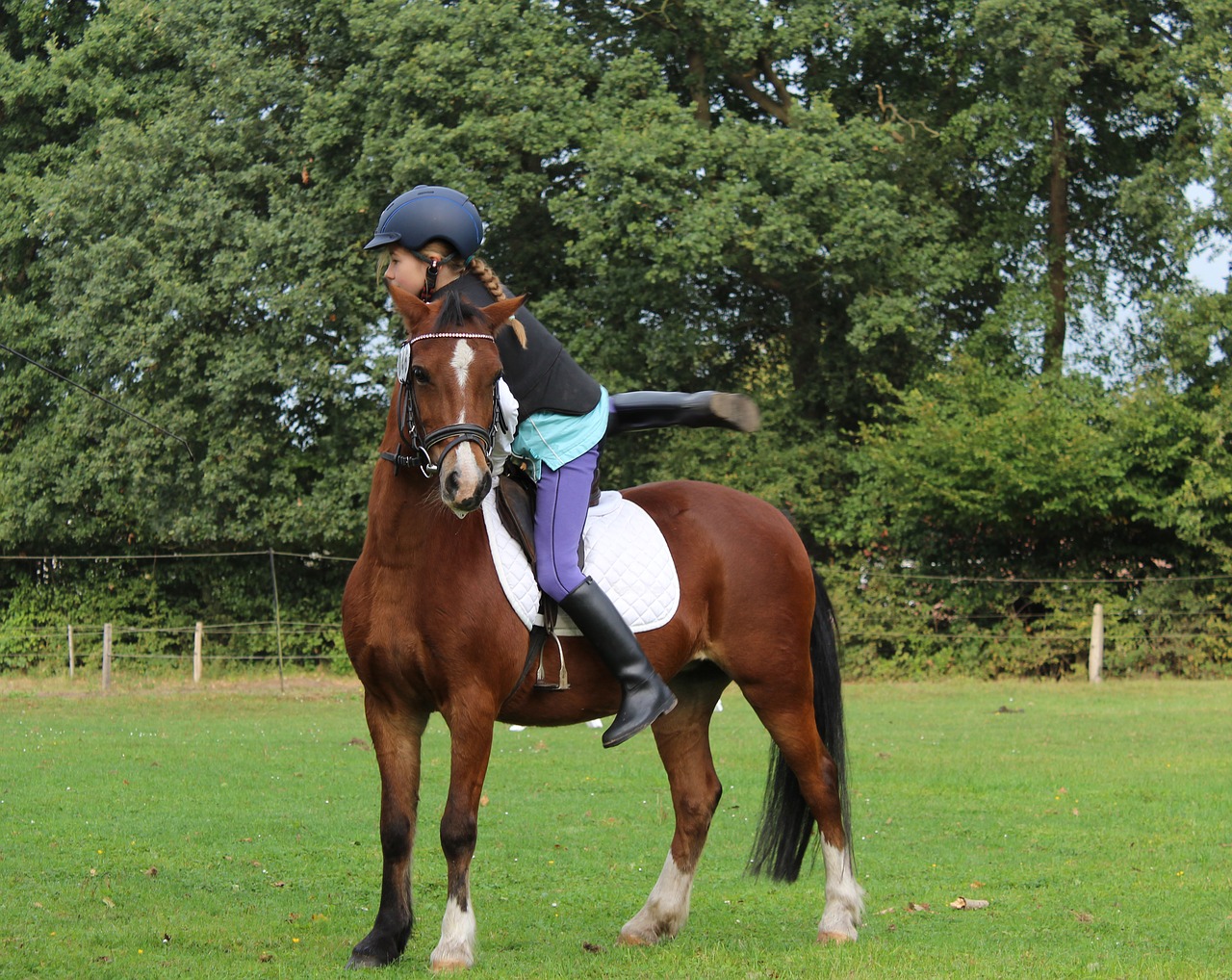 horsewoman girl child free photo