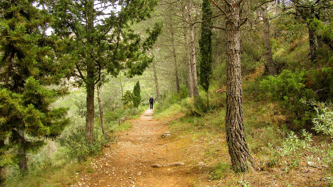 horta de sant joan  hiking  tourism free photo