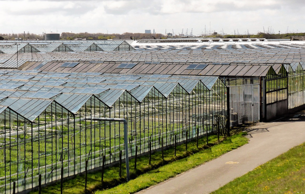 horticulture agriculture greenhouses free photo