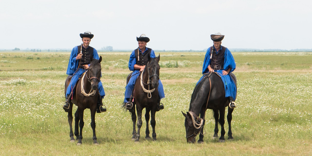 hortobágy  hungary  great plains free photo