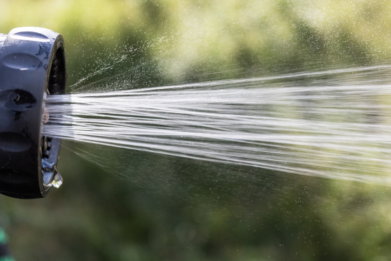 hose  water  garden free photo