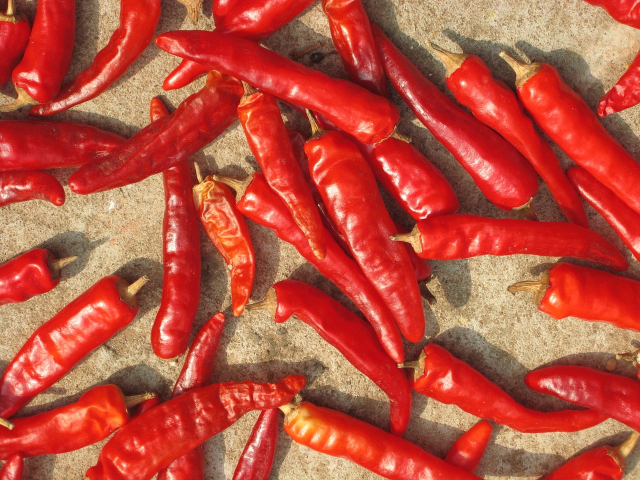 hot red peppers free photo