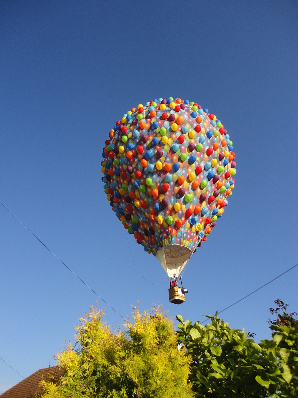 hot air balloon free photo