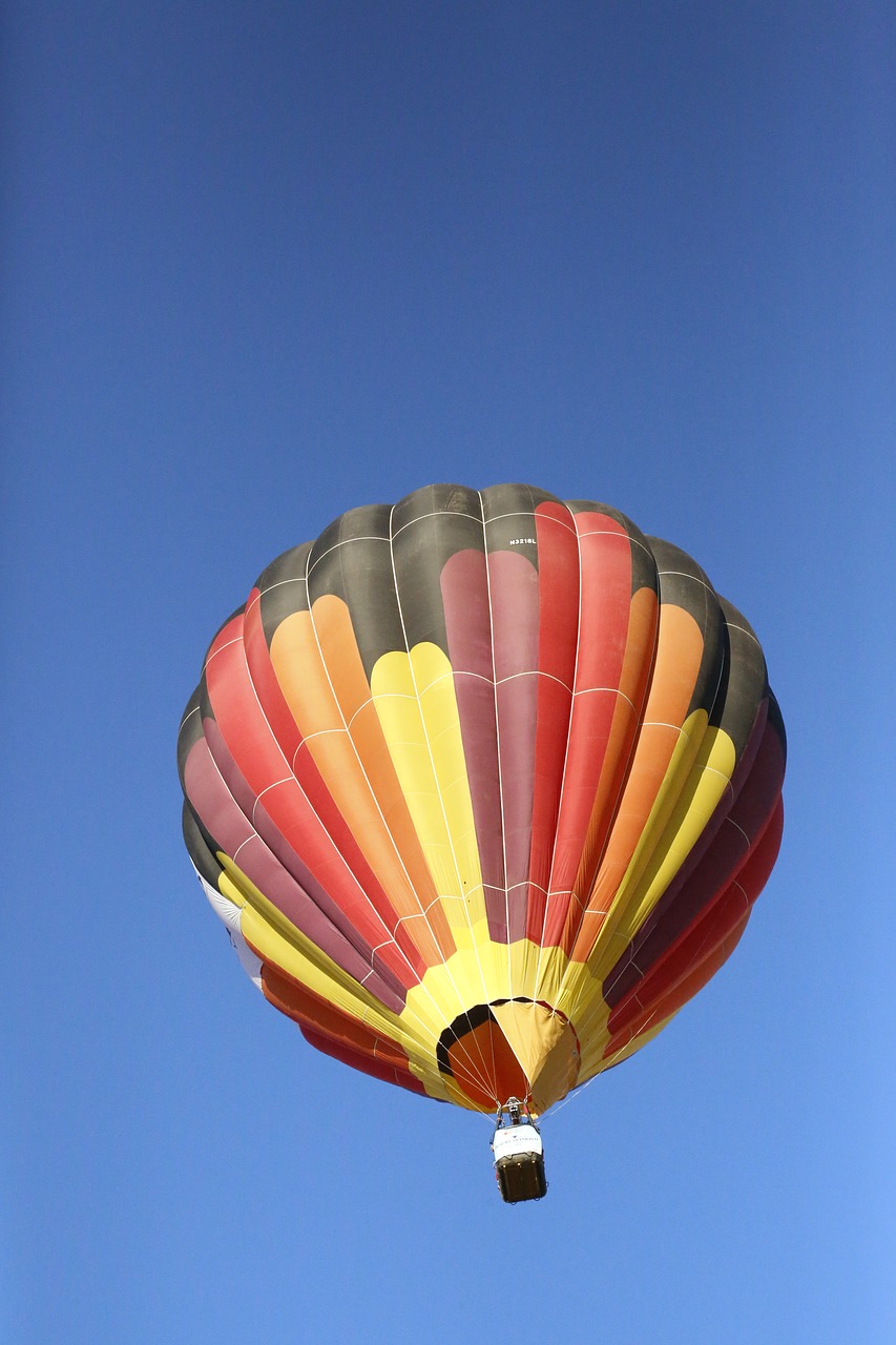 hot air balloons free photo