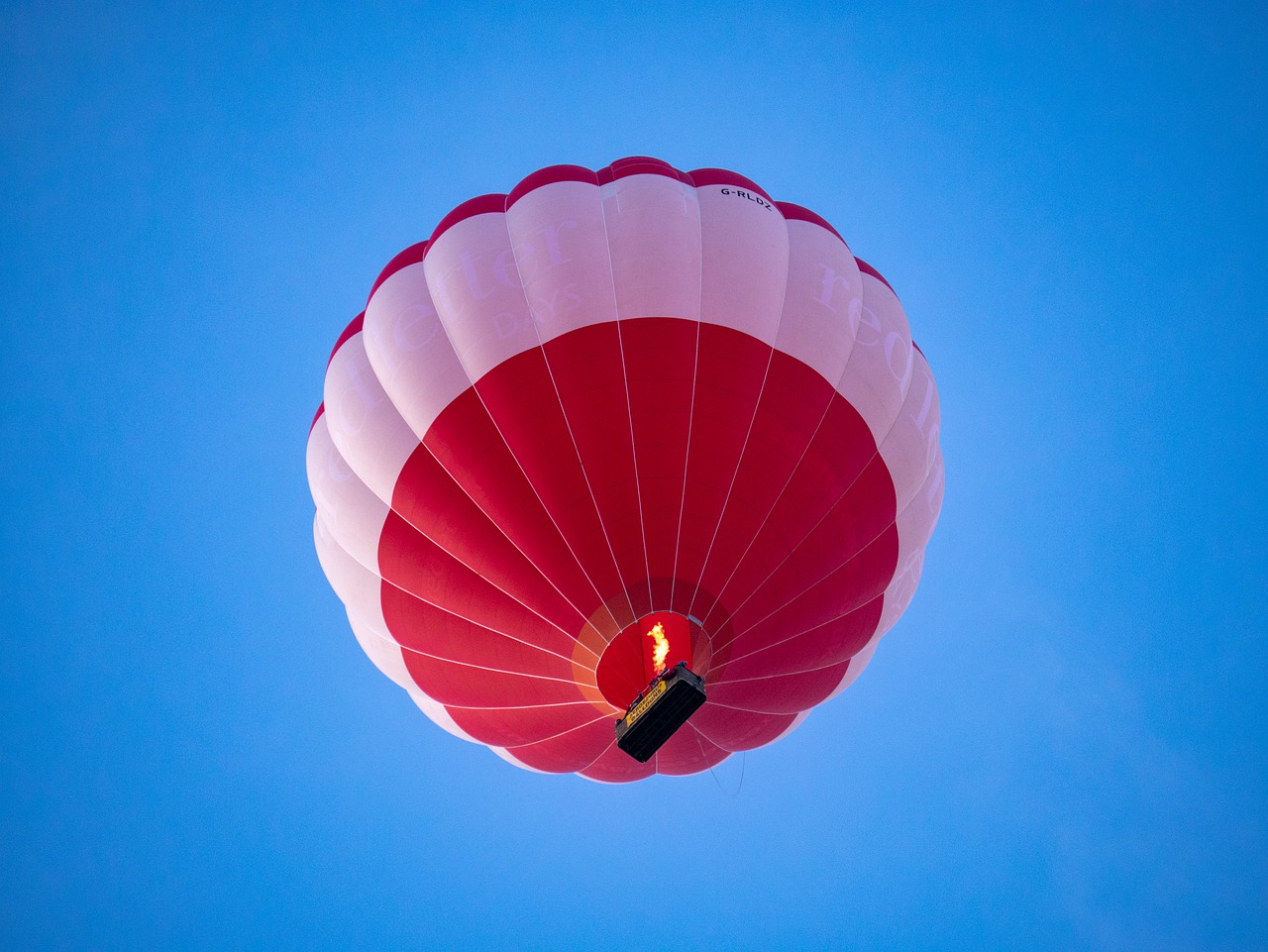 hot  air  balloon free photo