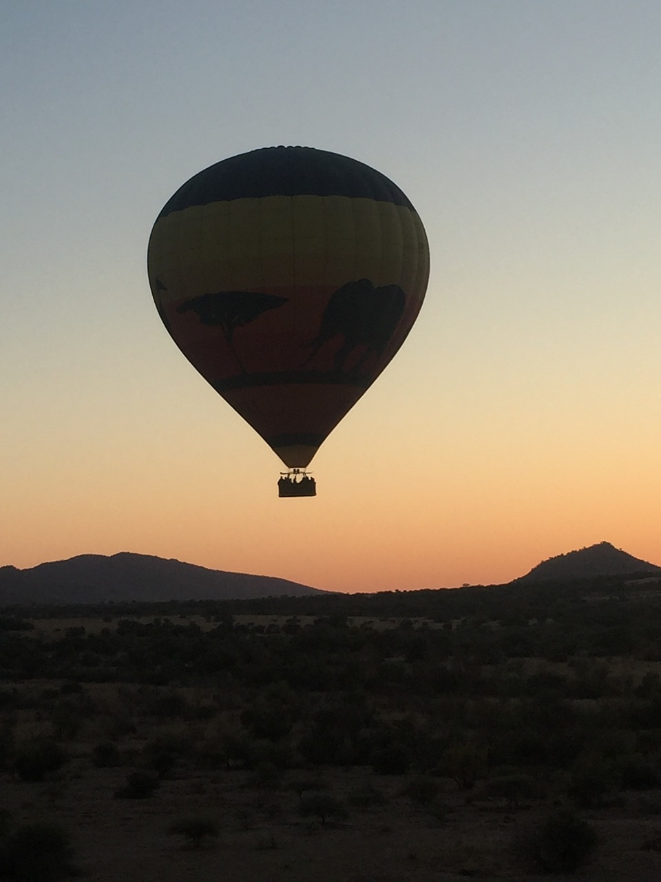 hot air ballon africa sky free photo