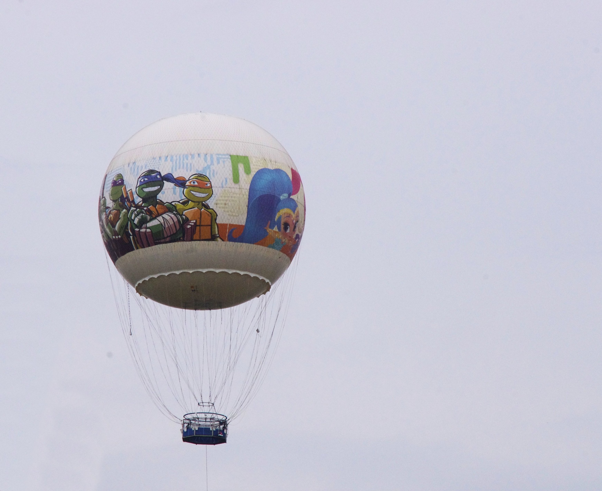 hot air balloon sky free photo