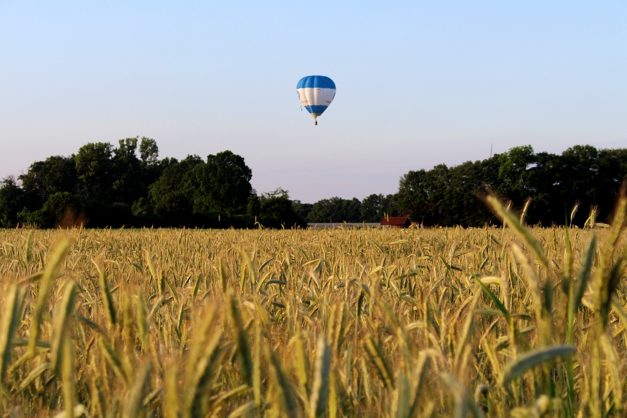 hot air balloon rye cereals free photo