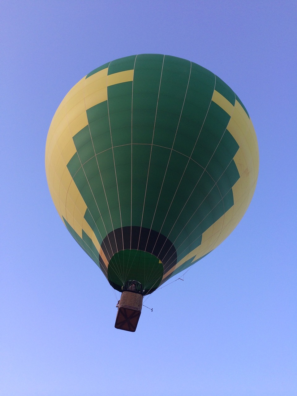 hot air balloon balloon sky free photo