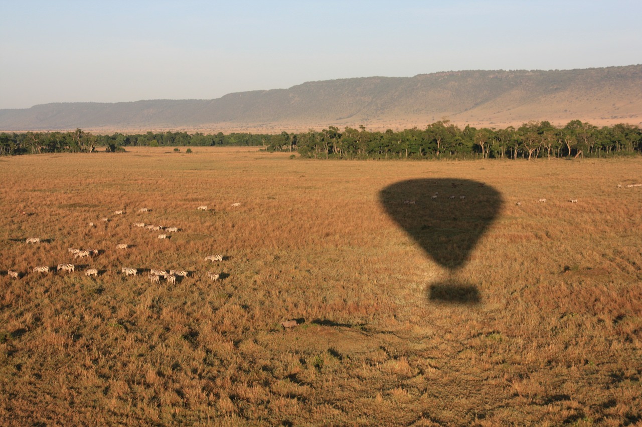 hot air balloon shadow travel free photo