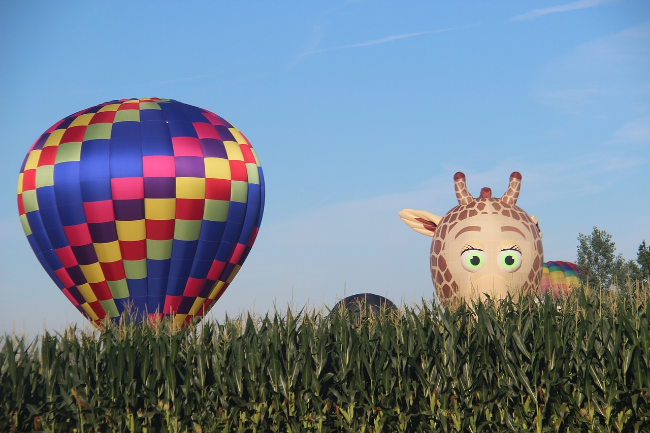 hot air balloon sky flight free photo