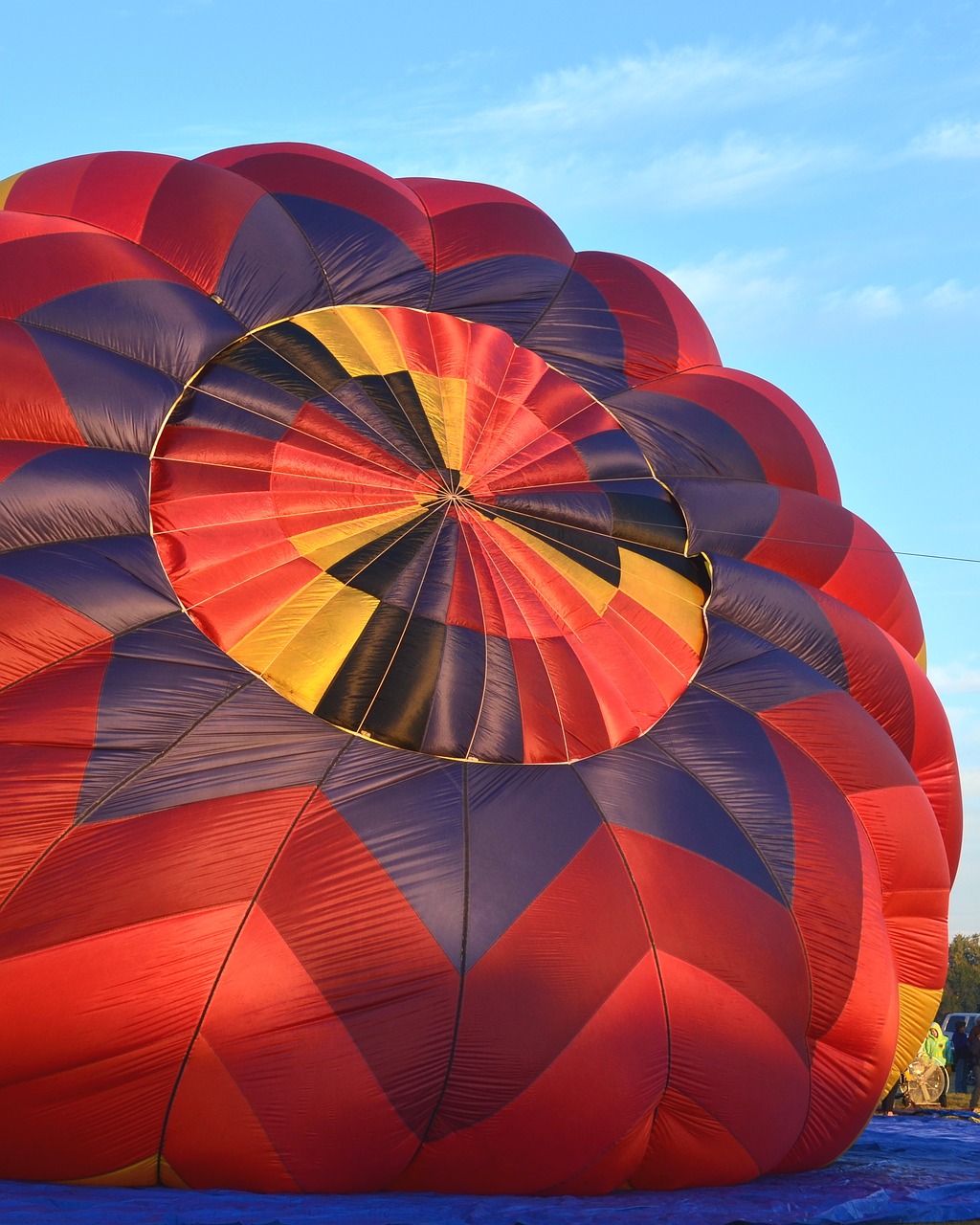 hot air balloon flight air free photo