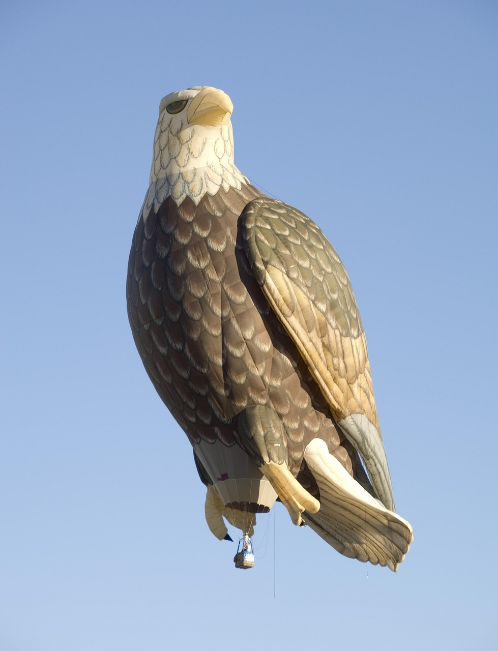 hot air balloon eagle floating free photo