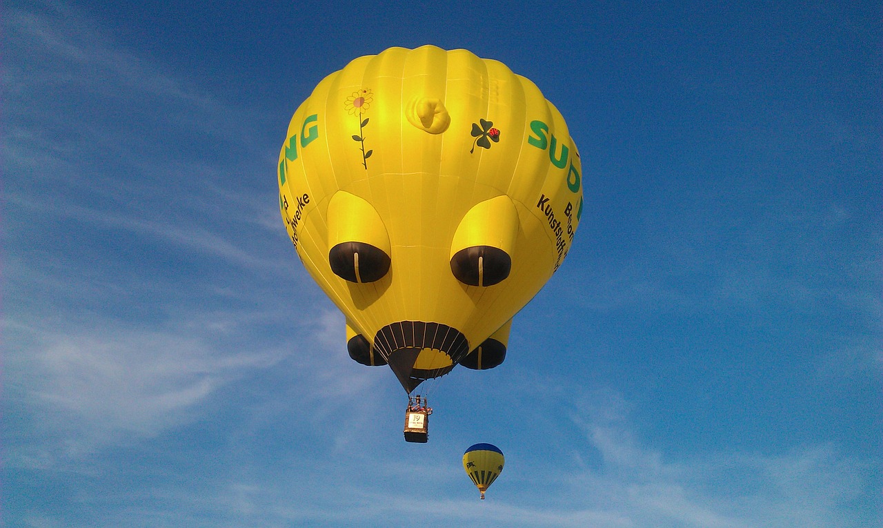 hot air balloon balloon colorful free photo