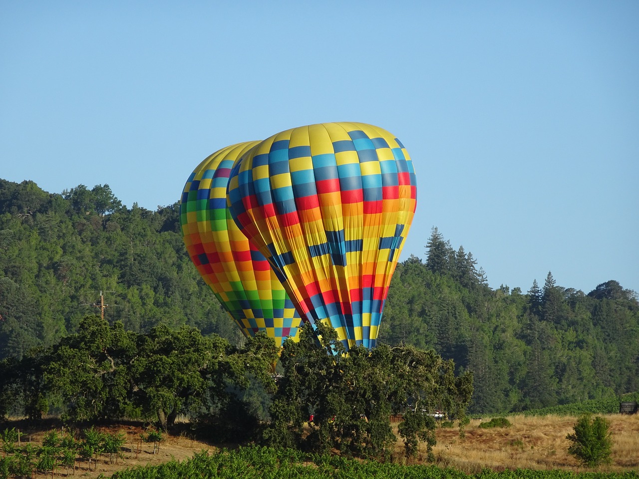 hot air balloon napa california free photo