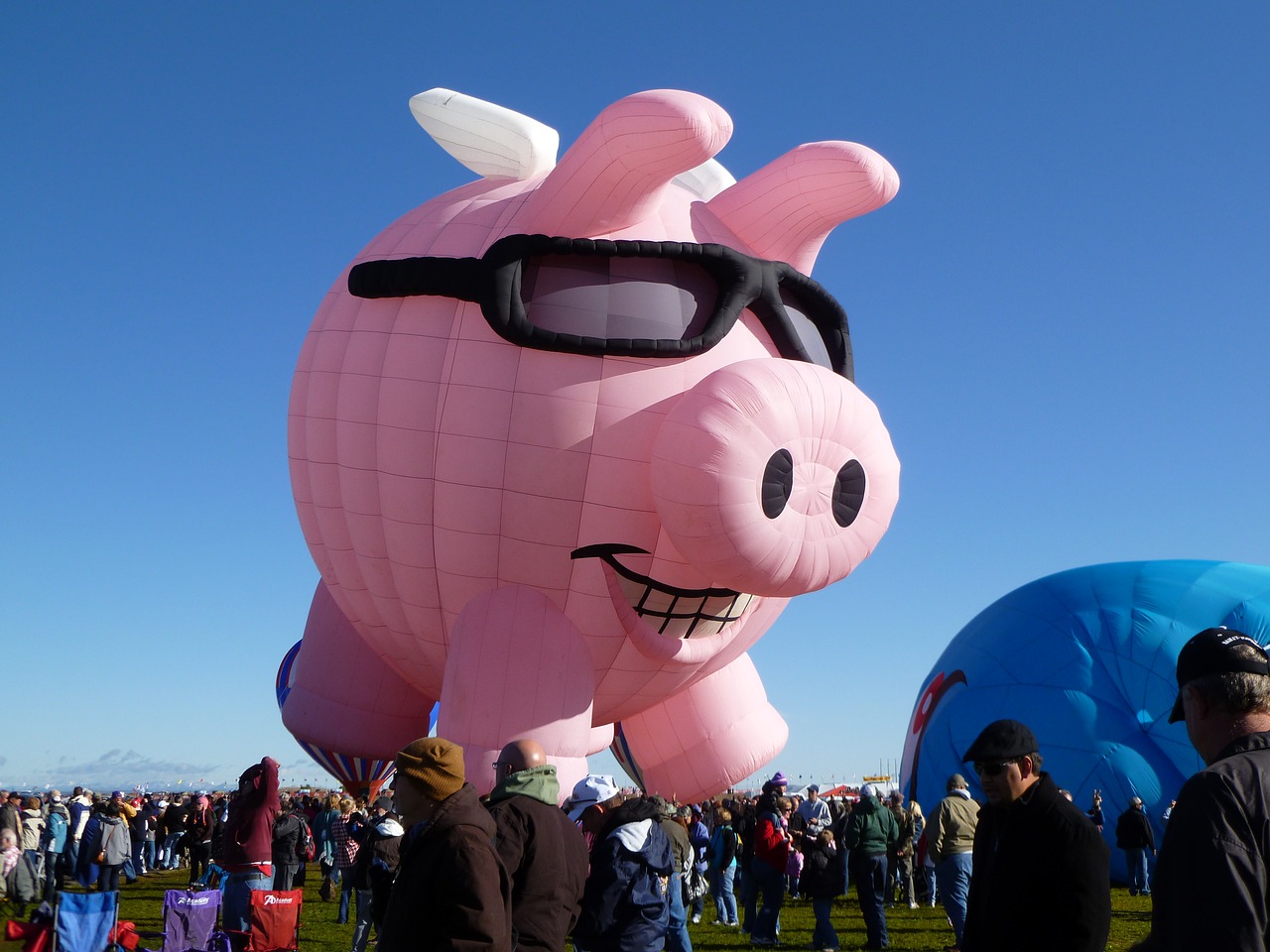 hot air balloon balloon pig free photo