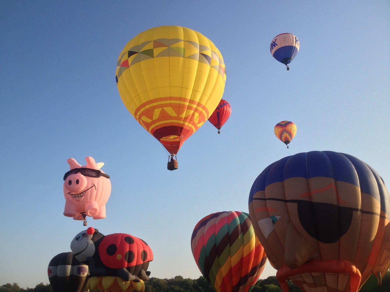 hot air balloon balloon festival plano free photo