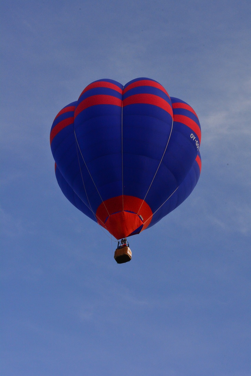 hot air balloon sky fly free photo